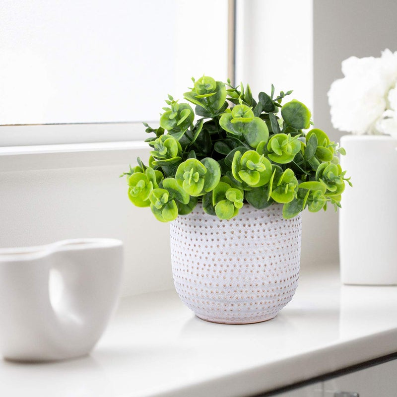 Karlliu Artificial Plants in Ceramic Planter Cute Lysimachia Fake Succulent Flowers Potted for Home Office Table Desk Decor Living Room Bathroom Bedroom Shelves Decoration - Image 5